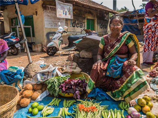 South India tour by bus & rail