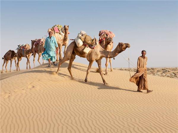 Rajasthan experience vacation