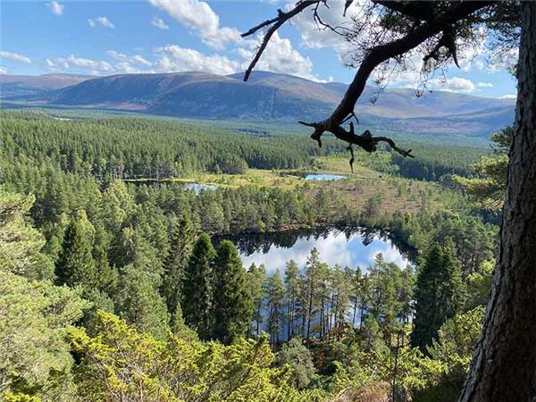 Cairngorms & Royal Deeside hiking vacation, Scotland