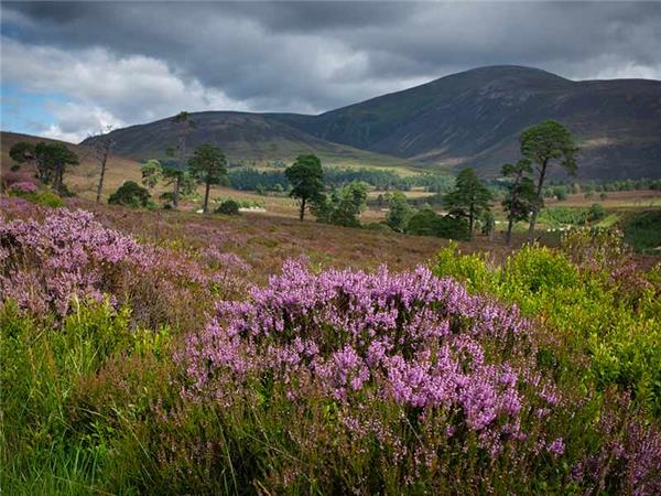 Cairngorms & Royal Deeside hiking vacation, Scotland