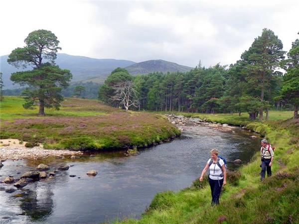 Cairngorms & Royal Deeside hiking vacation, Scotland