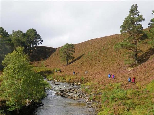 Cairngorms & Royal Deeside hiking vacation, Scotland