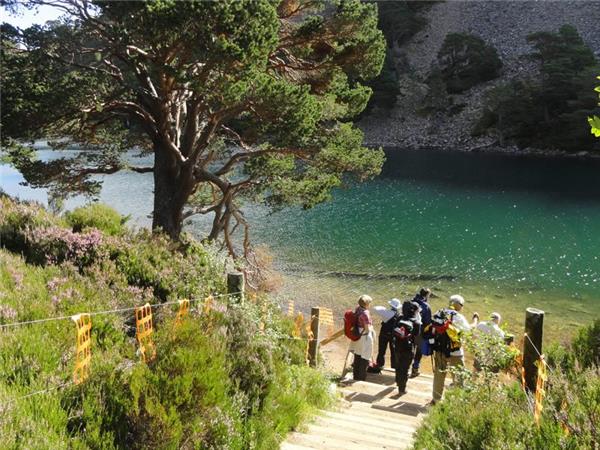 Cairngorms & Royal Deeside hiking vacation, Scotland