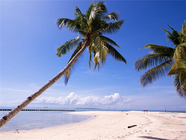 Sarawak wildlife & beach vacation