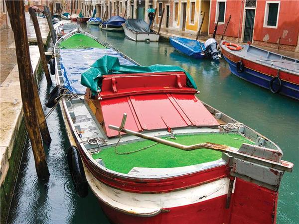 Italy small group vacation, a food adventure