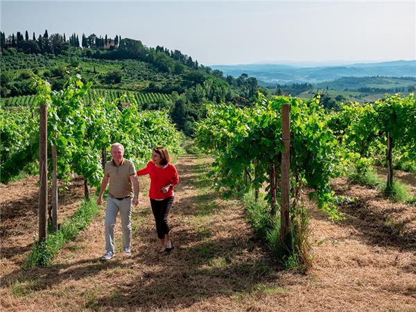 Italy small group vacation, a food adventure