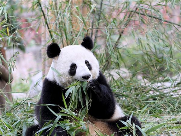 China highlights vacation