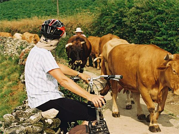 Camino de Santiago cycling vacation