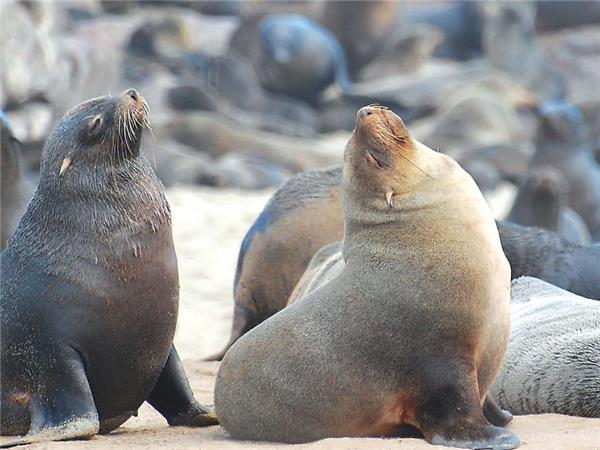 Namibia lodge safari vacation