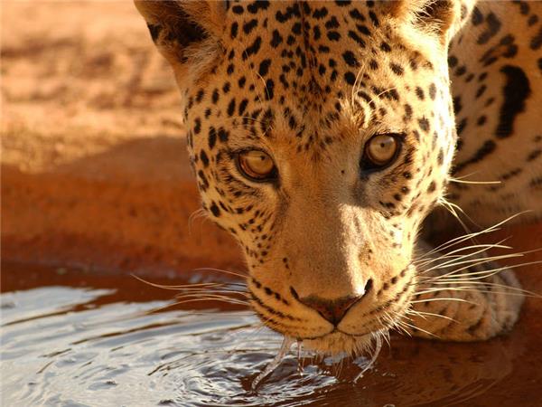 Namibia lodge safari vacation