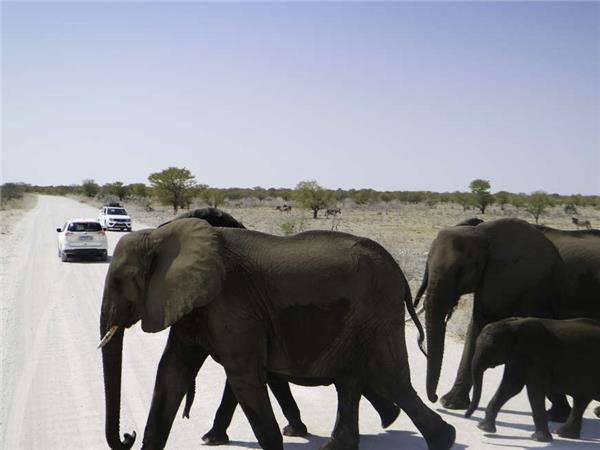 Namibia lodge safari vacation
