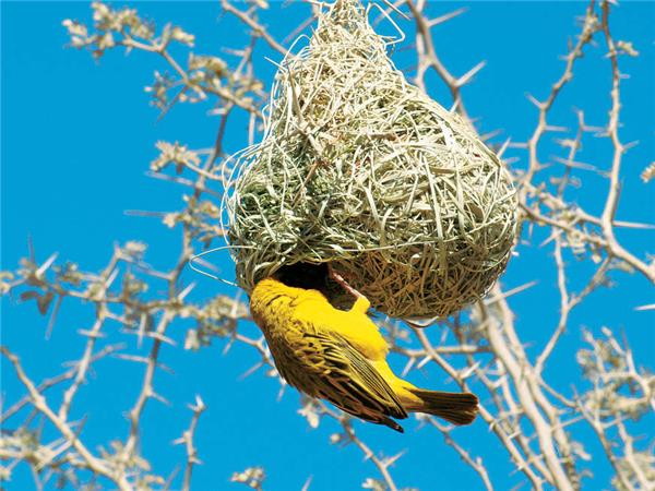 Namibia lodge safari vacation