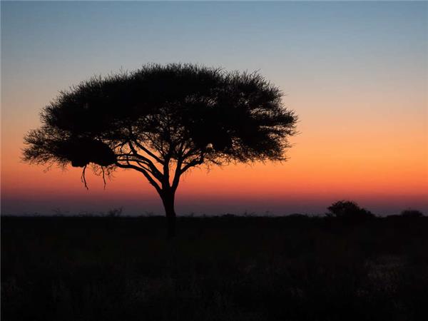 Namibia lodge safari vacation