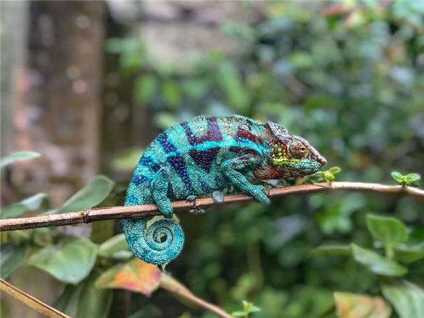Madagascar wilderness trekking vacation