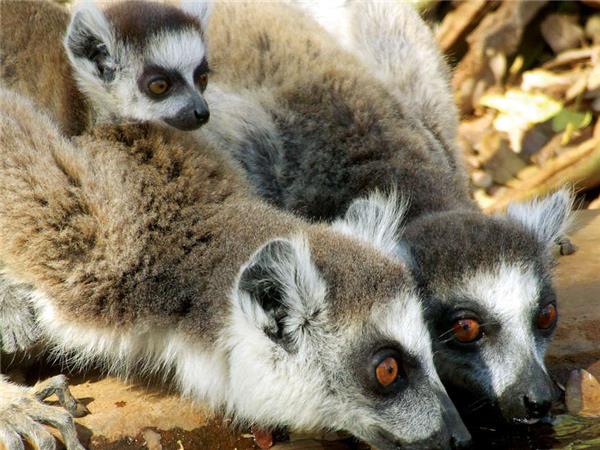 Madagascar wilderness trekking vacation