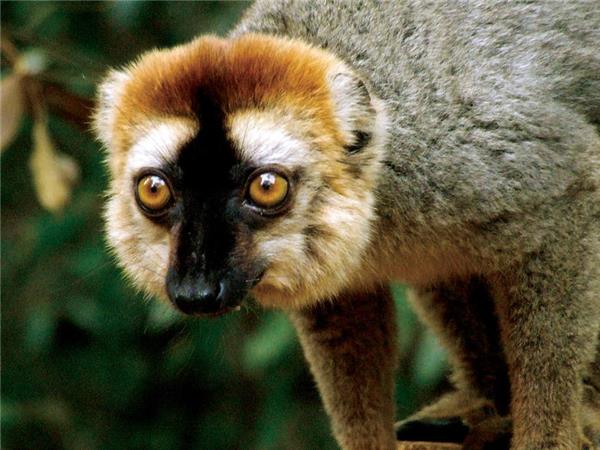 Madagascar wilderness trekking vacation