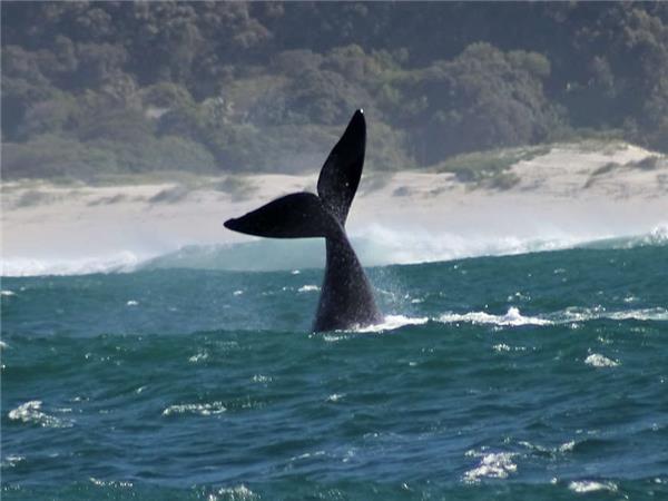 Family garden route vacation with safari, South Africa