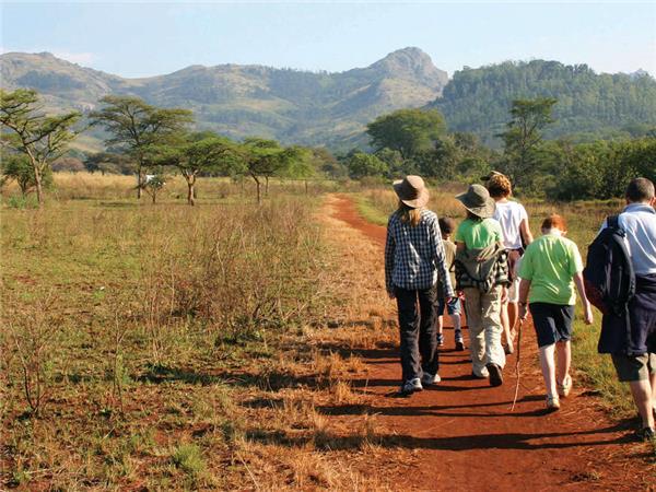 Family vacation to South Africa & Swaziland