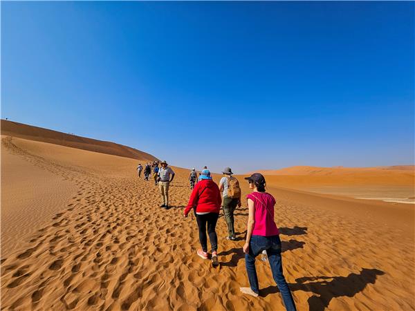 Namibia safari
