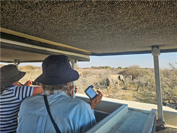 Namibia safari