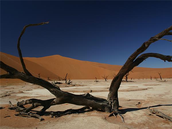 Namibia safari