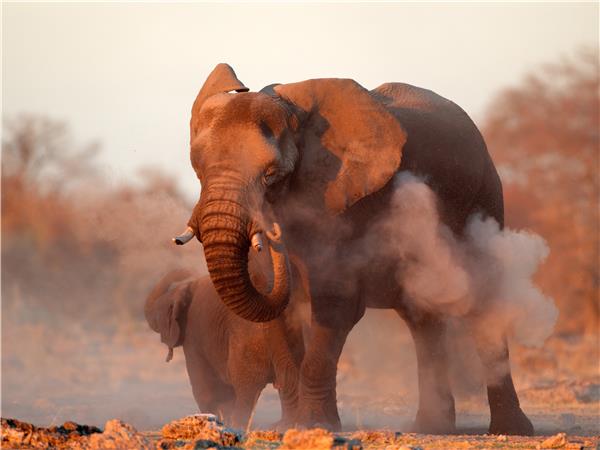 Family safari in Namibia