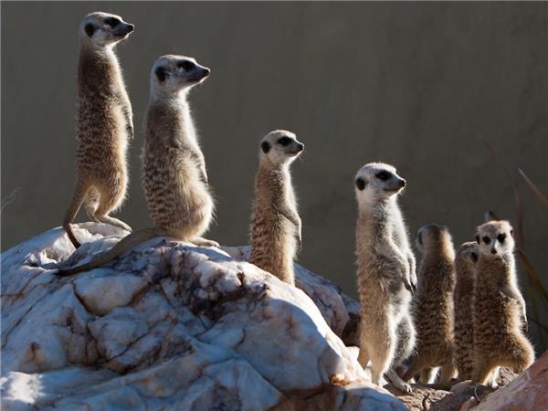 Family safari in Namibia