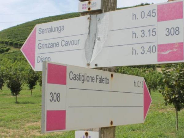 Piedmont walking holiday, self guided