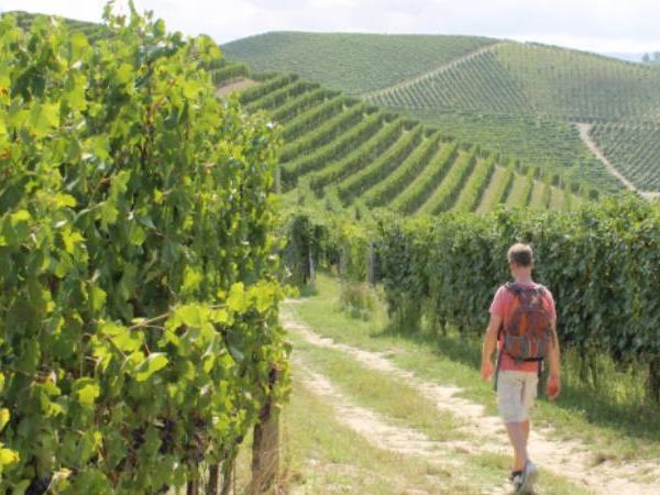Piedmont walking holiday, self guided