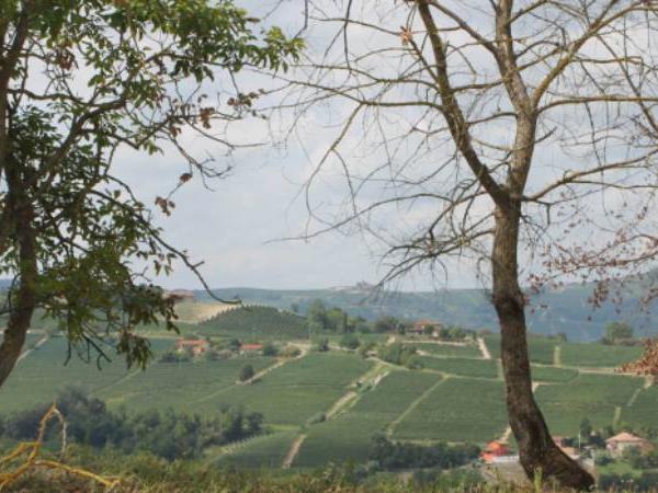 Piedmont walking holiday, self guided
