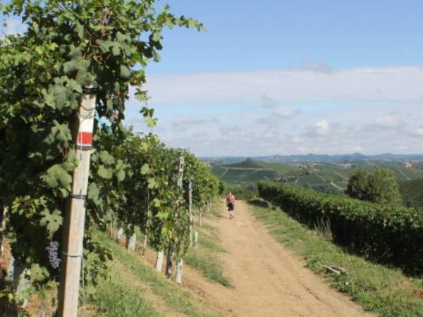 Piedmont walking holiday, self guided