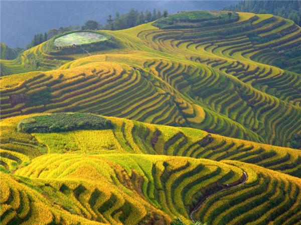 China on a shoestring small group vacation