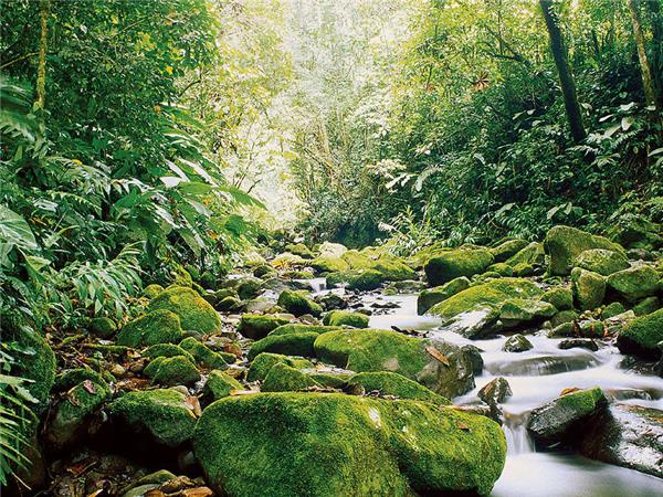 Costa Rica family vacations
