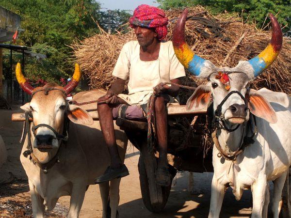 India tour, rural India