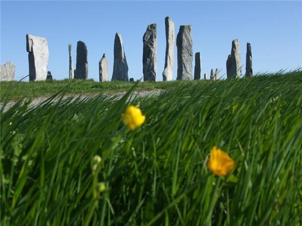 Outer Hebrides and St Kilda wildlife tour, Scotland