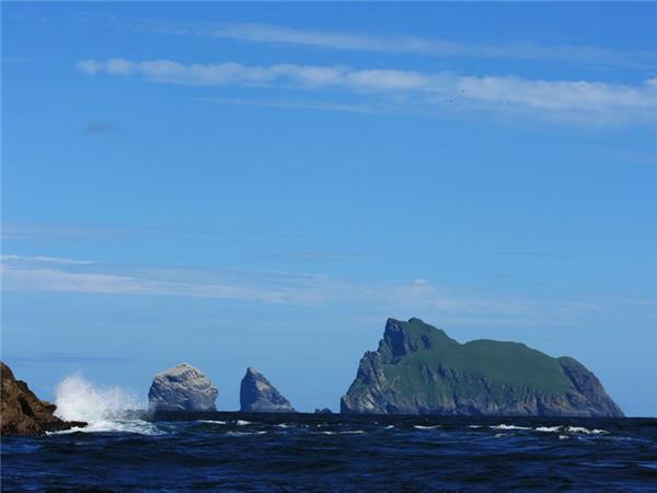 Outer Hebrides and St Kilda wildlife tour, Scotland