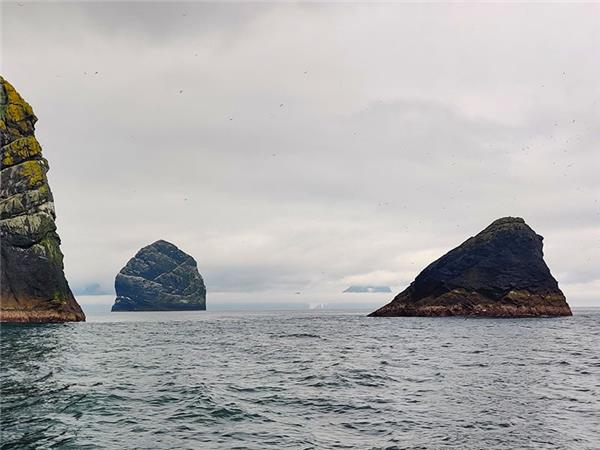 Outer Hebrides and St Kilda wildlife tour, Scotland