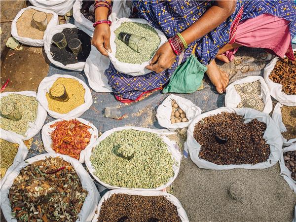 Northern India and Nepal guided tour