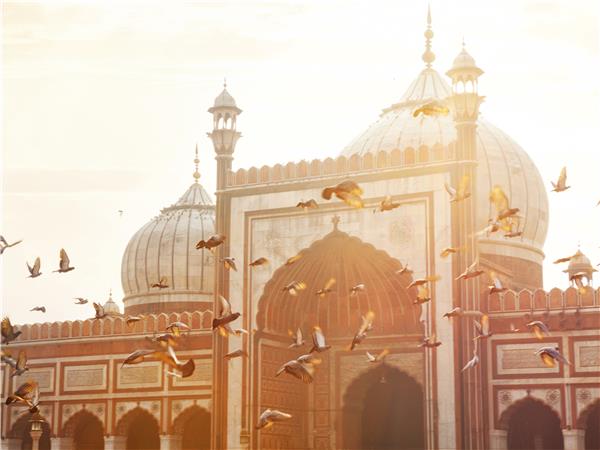 Northern India and Nepal guided tour