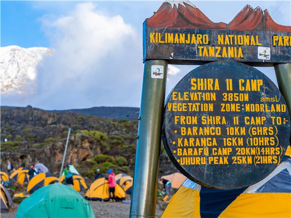 Lemosho Route Kilimanjaro Climb