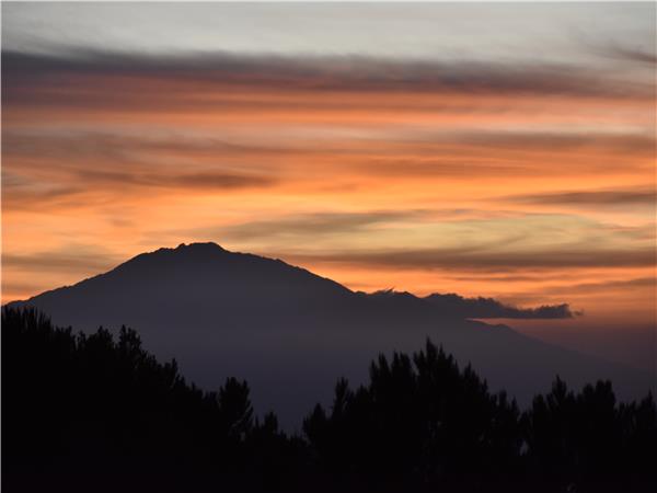 Lemosho Route Kilimanjaro Climb