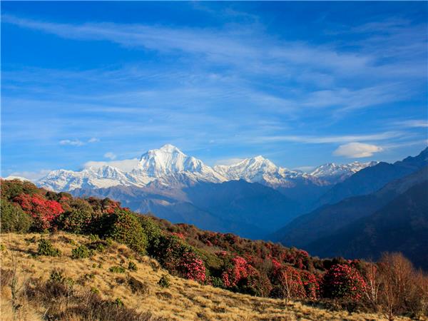 Annapurna Sanctuary trekking vacations