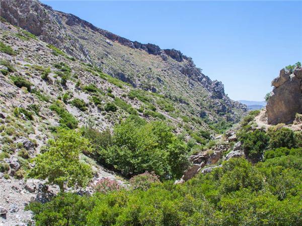 Walking vacation in Crete
