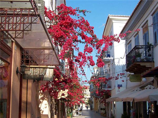 Peloponnese vacation, cultural tour in Greece