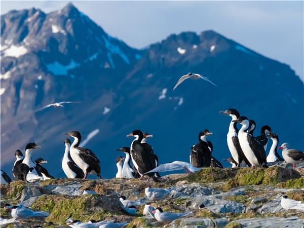 Patagonia highlights vacation