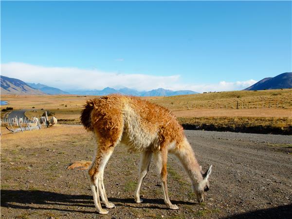 Patagonia highlights vacation