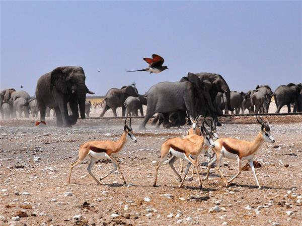 Victoria Falls to Cape Town small group vacation