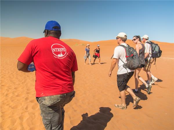 Victoria Falls to Cape Town small group vacation
