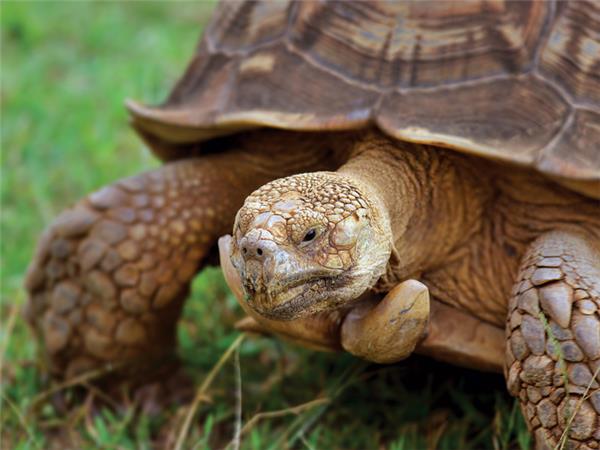 Galapagos land based adventure vacation