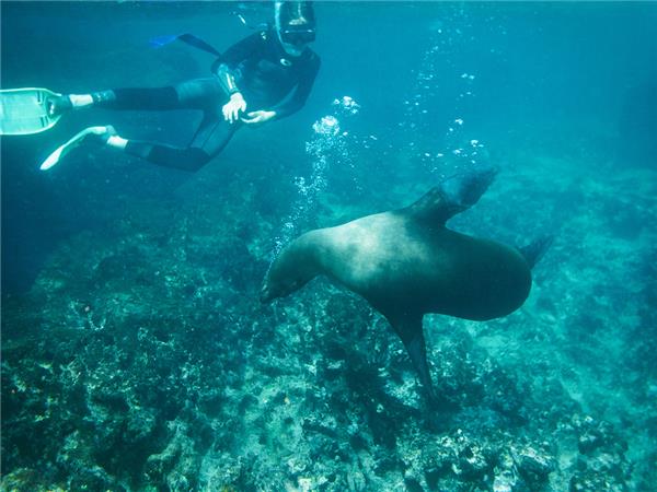 Galapagos land based adventure vacation